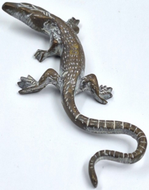 4 messing salamanders