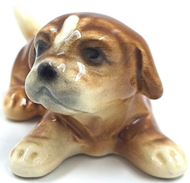 Liggende boxer puppy door Goebel