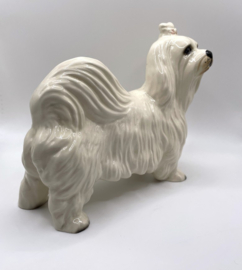 Maltezer hond door Coopercraft