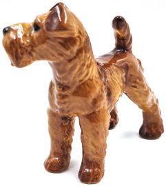 Ierse Terriër door Goebel