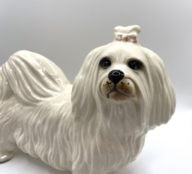 Maltezer hond door Coopercraft