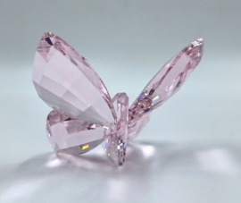 Vlinder Rosaline 9100/000/422