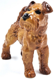 Ierse Terriër door Goebel