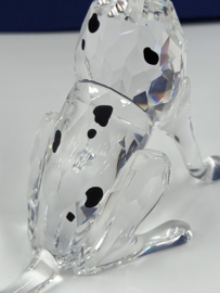 Dalmatiër moeder 7619/000/010
