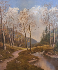 Herfstlandschap met bospad en beekje