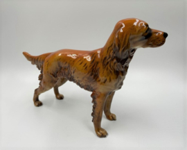 Hond (Ierse setter) door Goebel