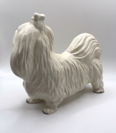 Maltezer hond door Coopercraft
