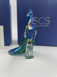 Swarovski SCS pauw 7100/000/410