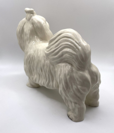 Maltezer hond door Coopercraft