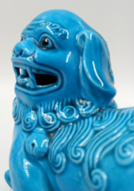 Chinese turquoise tempelleeuw
