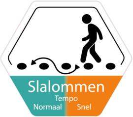 Vloersticker Slalommen