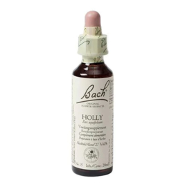 Bach Bloesem Remedie Holly