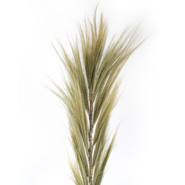 Rayung Gras Pluimen – Blond – 1,6m – Set van 3