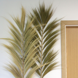 Rayung Gras Pluimen – Naturel – 2m – Set van 3