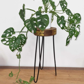 Ronde Plantentafel - Hout & Gouden Details