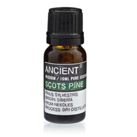 Dennen Olie 10ml – Etherische Olie