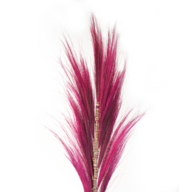 Rayung Gras Pluimen – Roze – 1,6m – Set van 3