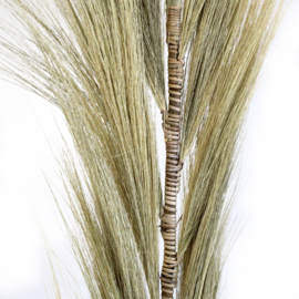 Rayung Gras Pluimen – Blond – 1,6m – Set van 3