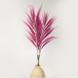 Rayung Gras Pluimen – Roze – 1,6m – Set van 3