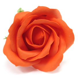 Zeeprozen 50 Stuks Donker Oranje - Medium Zeeproos