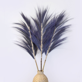 Rayung Gras Pluimen – Blauw – 1,6m – Set van 3