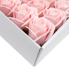 Zeeprozen 50 Stuks Licht Roze  - Medium Zeeproos