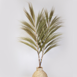 Rayung Gras Pluimen – Naturel – 1,6m – Set van 3