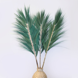 Rayung Gras Pluimen – Groen – 1,6m – Set van 3