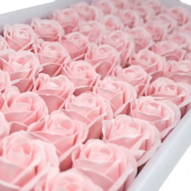 Zeeprozen 50 Stuks Licht Roze  - Medium Zeeproos