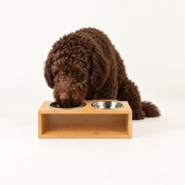 Grote Dubbele Hondenvoerbak op Standaard – 2x13 cm