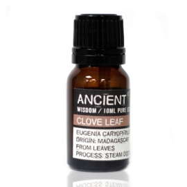 Kruidnagelblad Olie 10ml – Etherische Olie