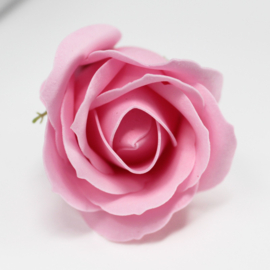 Zeeprozen 50 Stuks Roze - Medium Zeeproos