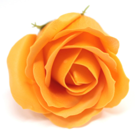 Zeeprozen 50 Stuks Oranje- Medium Zeeproos