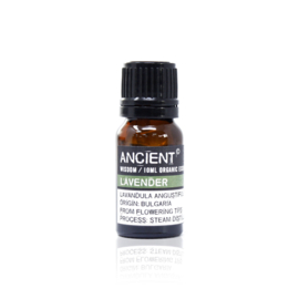Biologische Lavendel Olie 10ml - Etherische Olie