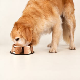 Koperen Voerbak voor Hond – RVS Voerbak 22 cm met Pootjes