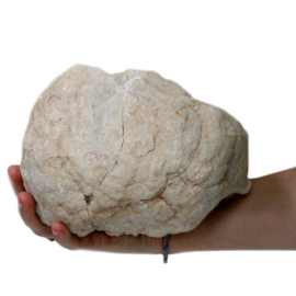 Calciet Geodes Geopend - 15 Tot 18 cm