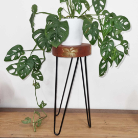 Ronde Plantentafel - Terracotta & Gouden Details