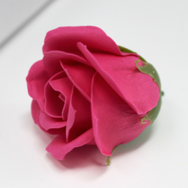 Zeeprozen 50 Stuks Donker Roze - Medium Zeeproos