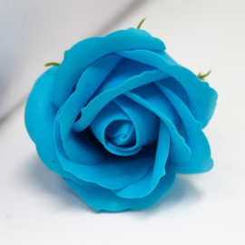 Zeeprozen 50 Stuks Hemels Blauw - Medium Zeeproos