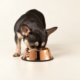 Koperen Voerbak Hond 18 cm – RVS Voerbak met Pootafdrukken