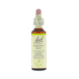 Bach Bloesem Remedie Chestnut Bud