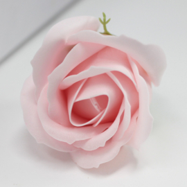 Zeeprozen 50 Stuks Licht Roze  - Medium Zeeproos