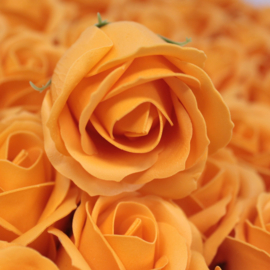 Zeeprozen 50 Stuks Oranje- Medium Zeeproos