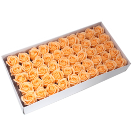 Zeeprozen 50 Stuks Perzik - Medium Zeeproos