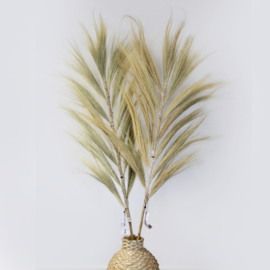 Rayung Gras Pluimen – Blond – 1,6m – Set van 3