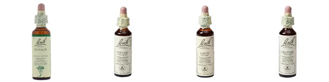 Bachbloesem Remedies
