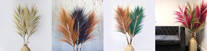 Rayung Gras Pluimen