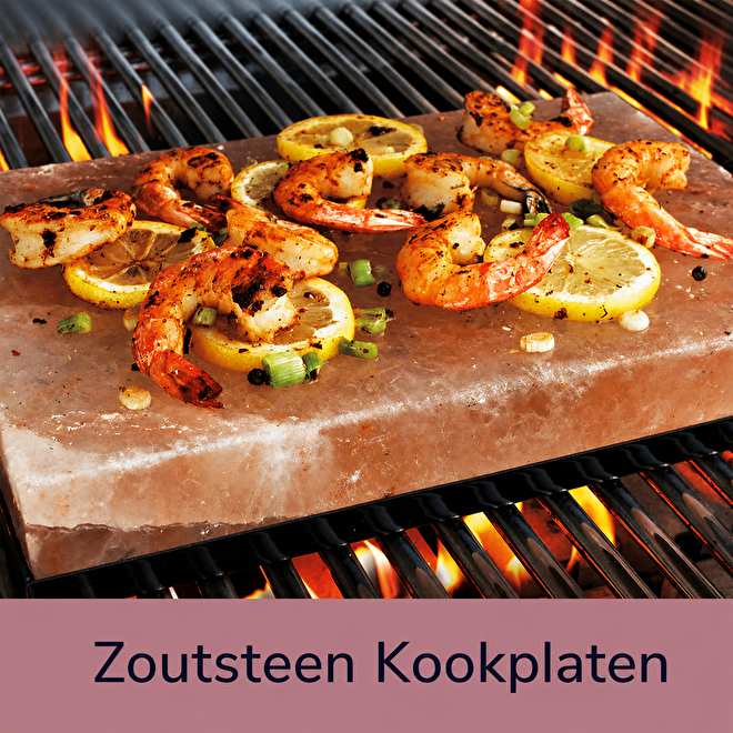 Himalaya Zousteen Kookplaten & Himalaya Zousteen BBQ Grill platen