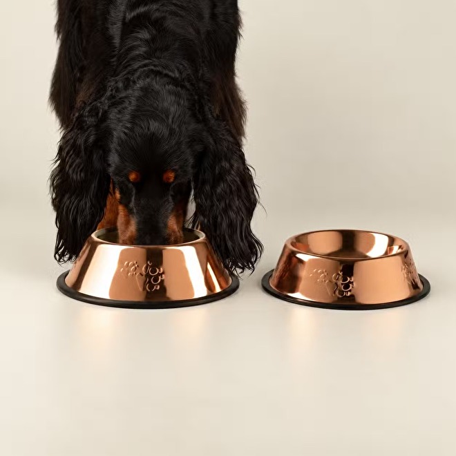 hippe honden en katten voerbakken