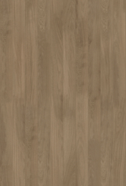 E24 oak ecru matte